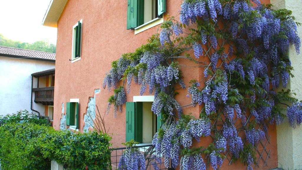 Appartement La Nicchia à Tarzo Extérieur photo